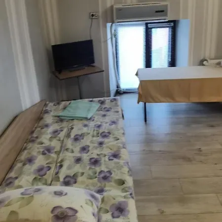 House For Guests And Friends