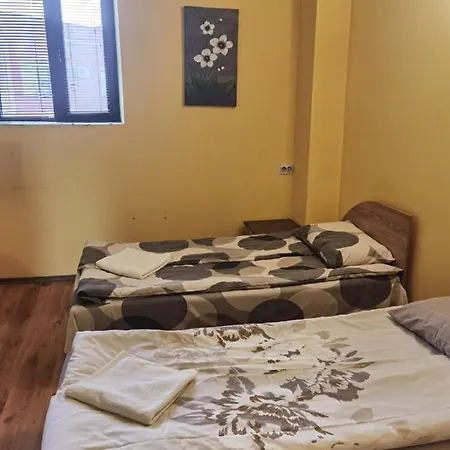 House For Guests And Friends 3* Svishtov