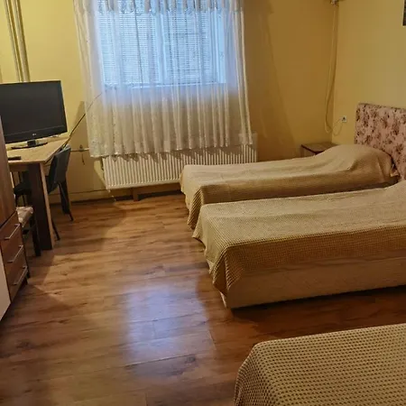 House For Guests And Friends 3* Svishtov