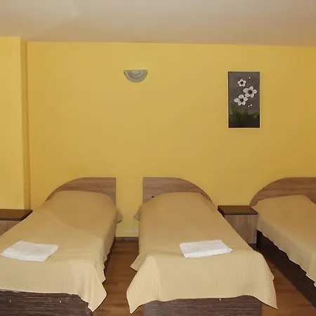 House For Guests And Friends Svishtov