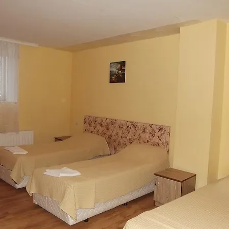 Pensionat House For Guests And Friends Svishtov